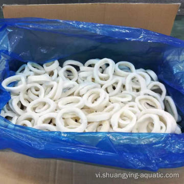 Nhẫn Squid 3-8cm Frozen IQF được làm sạch trong bán buôn